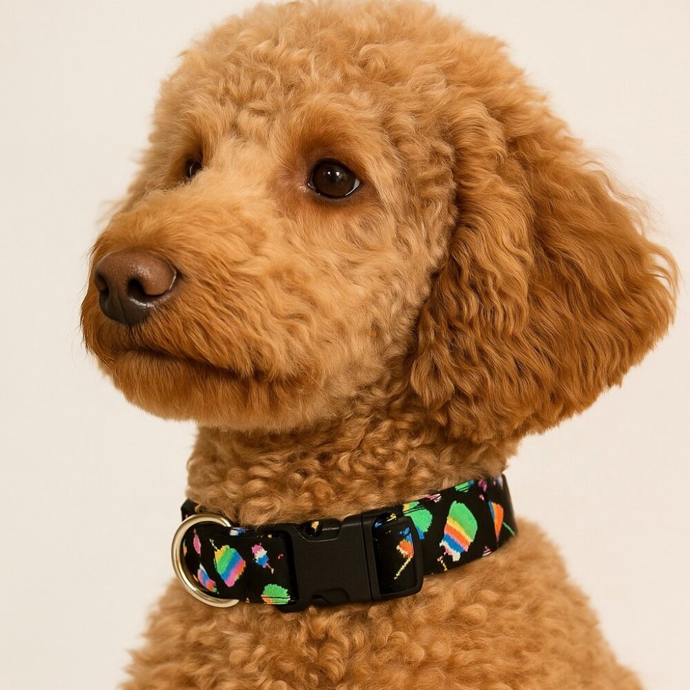 Birthday Dog Collar, Happy Birthday Cake Adjustable Fabric Dog Collar 3/4" wide
